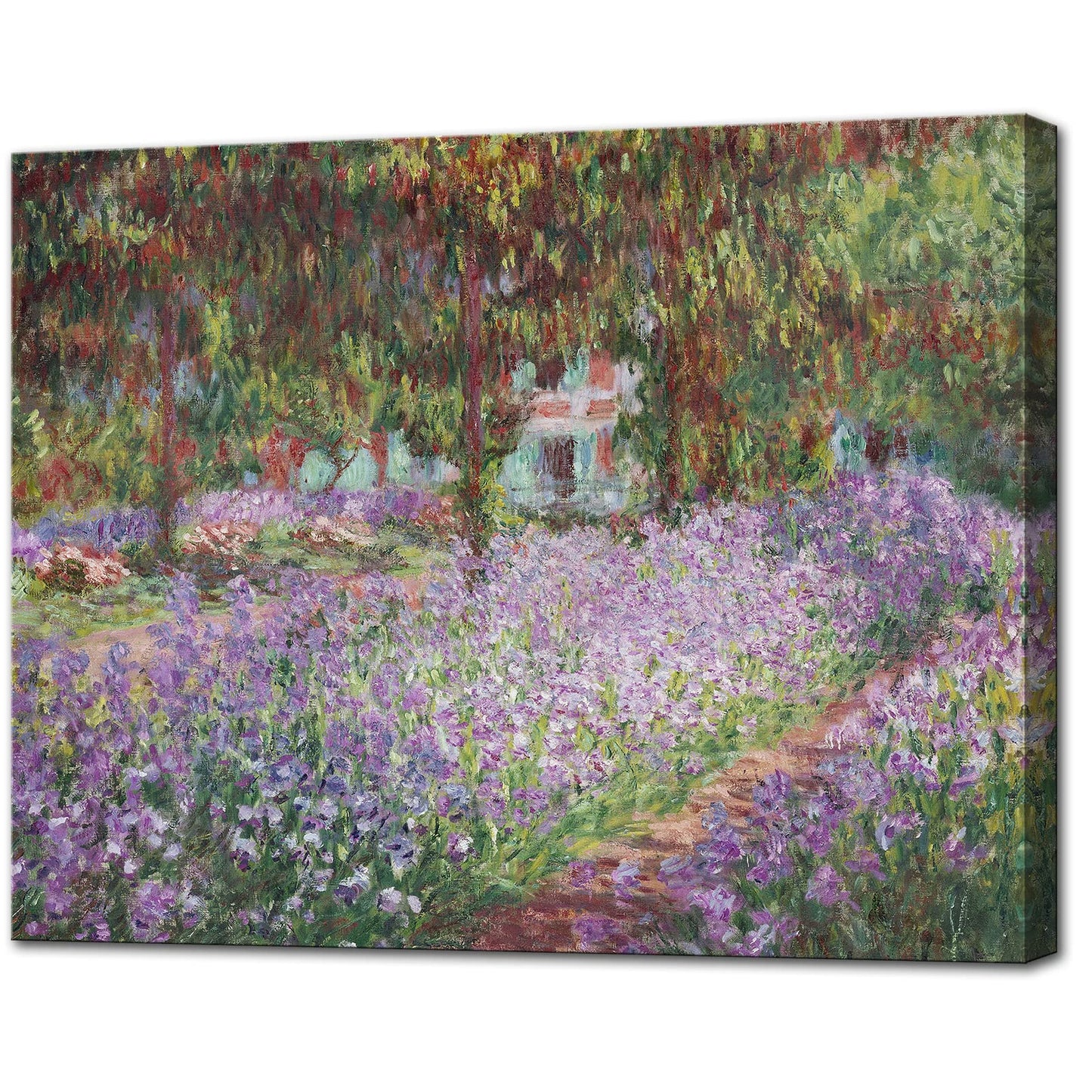 Irises in Monet's Garden. 1900 by Claude Monet - Large Canvas Art Wall Decor Painting Print Framed -24 x 36